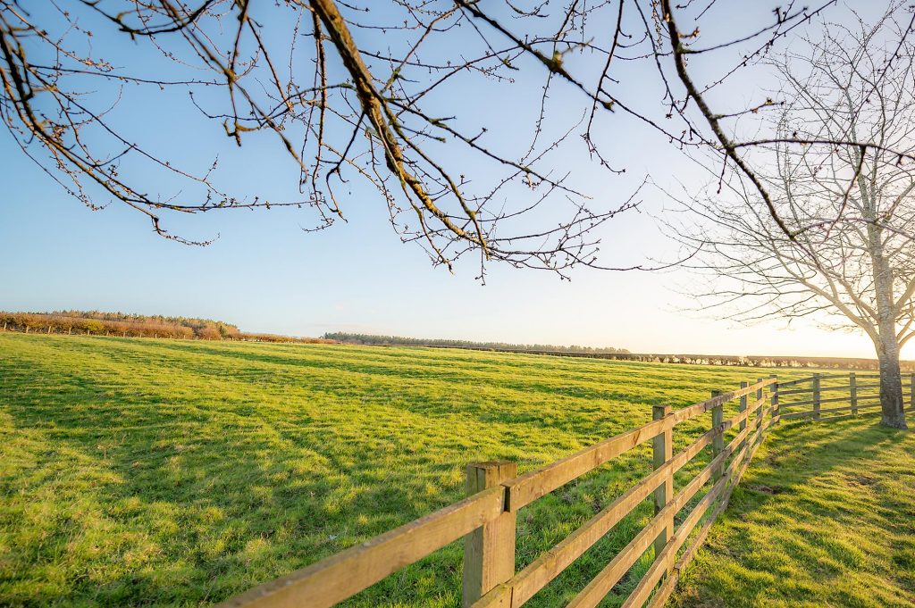 Looking over a wooden fence through the ends of tree branches across a field at sunrise, ideal for contact us.