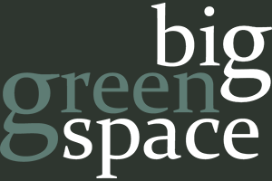Logo for Big Green Space Event Planning