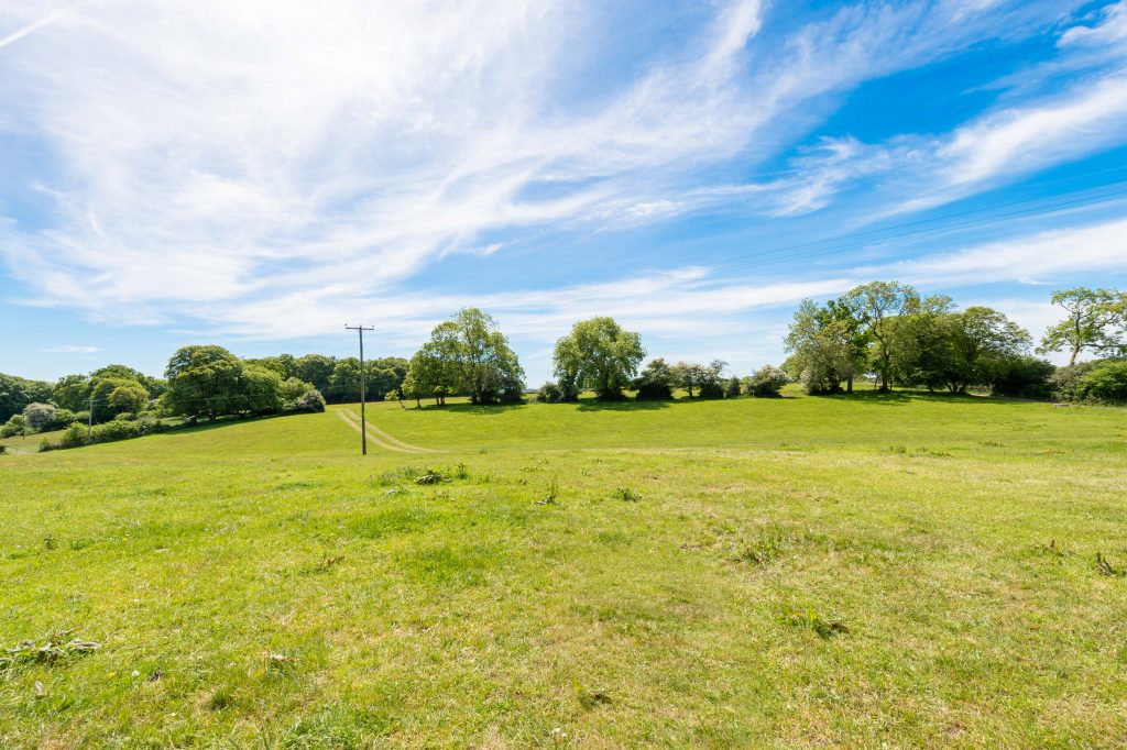 Big green grass field with blue skies and trees in the distance