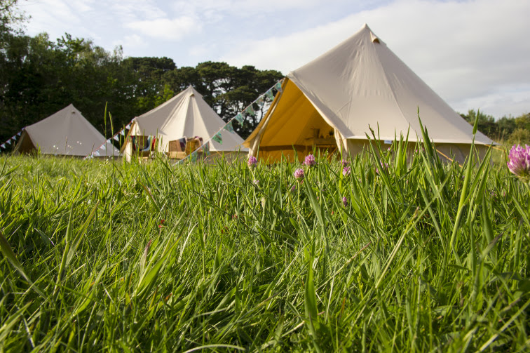 Bell tents in a field