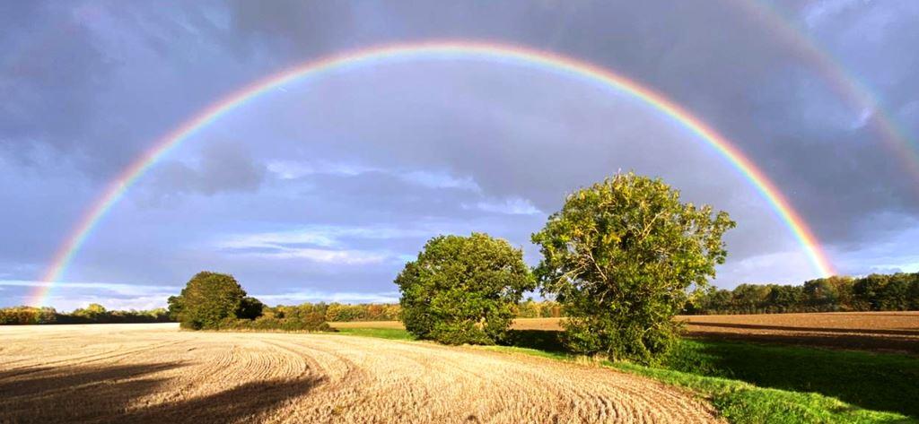 A rainbow at Medbury Farm