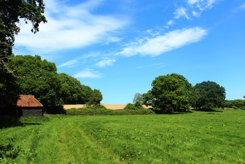 Field with barn at Little Thakeham Farm