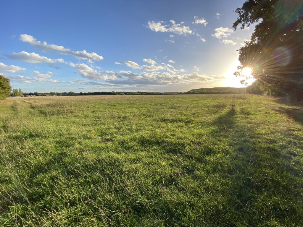 A field at Old Hall Farm