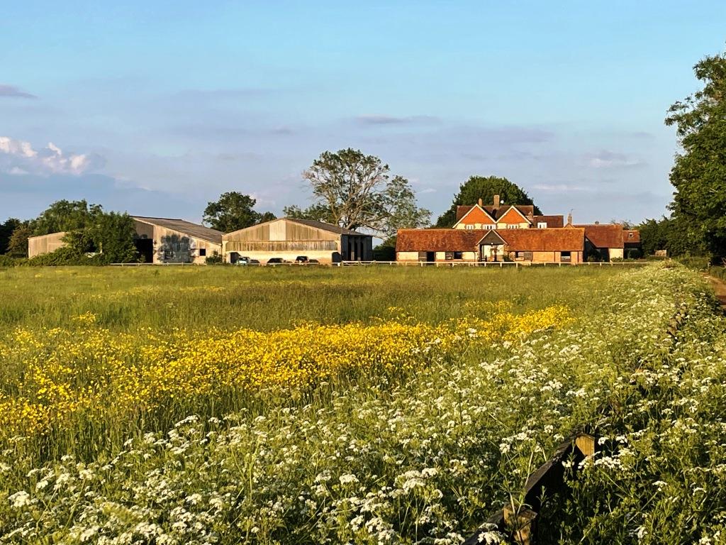 The Farm at Pitchcott Farm