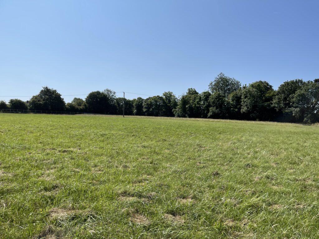 Field at Tee's Meadow
